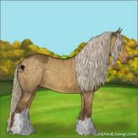 Horse Color:Chocolate Palomino Dun Brindle 
