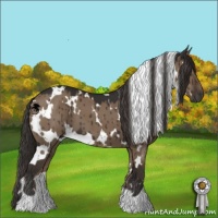 Horse Color:White Spotted Liver Red Dun Brindle 