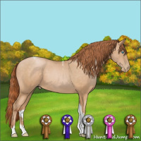 Horse Color:Buckskin Pearl Tobiano 