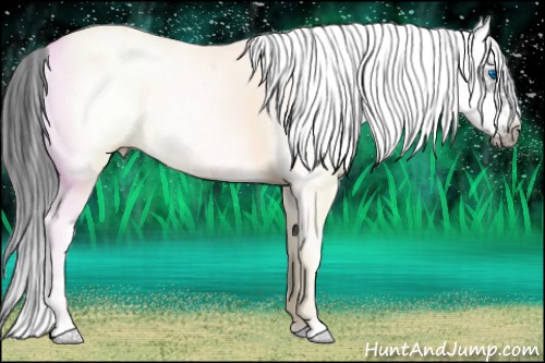 Horse Color:White Spotted Black Ice Splash Frame Appaloosa 
