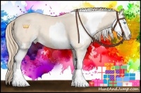 Horse Color:Perlino Sabino  and Perlino Sabino 