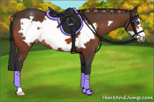 Horse Color:Brown Frame Appaloosa 