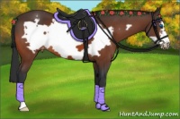 Horse Color:Brown Frame Appaloosa 