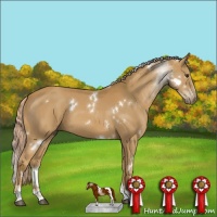 Horse Color:White Spotted Palomino Sabino