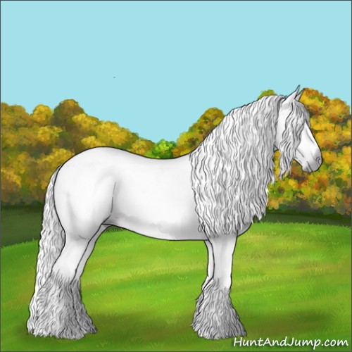 Horse Color:Gray White Spotted Liver Chestnut 