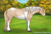Horse Color:Red Roan Pearl Tobiano Frame