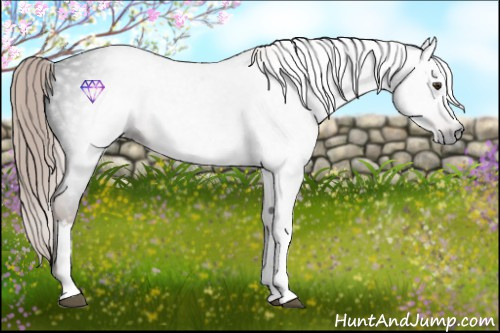 Horse Color:Gray White Spotted Liver Chestnut