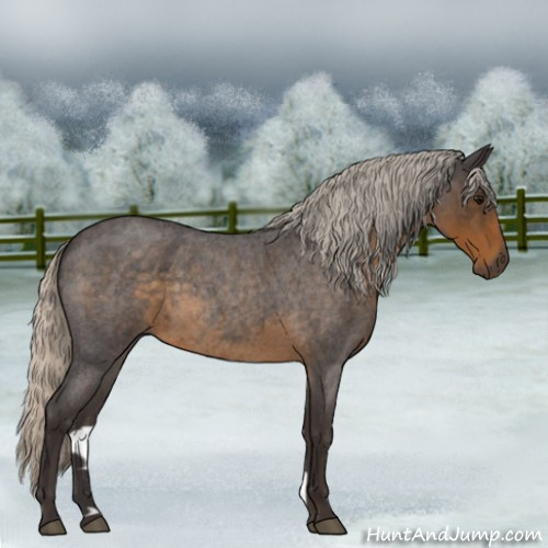 Horse Color:Silver Smoky Blue Roan 