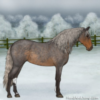 Horse Color:Silver Smoky Blue Roan 