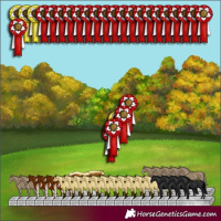 Horse Color:Smoky Black Pearl Sabino