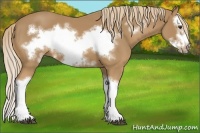 Horse Color:Chestnut Splash Frame 