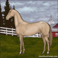 Horse Color:Black Pearl 