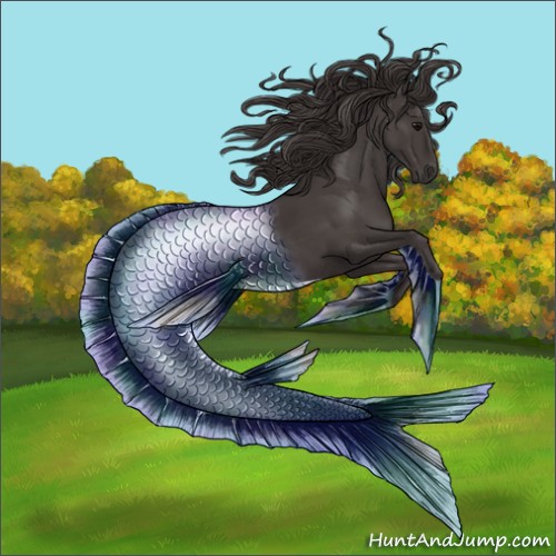 Horse Color:Smoky Black 