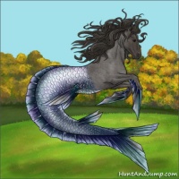 Horse Color:Smoky Blue Roan