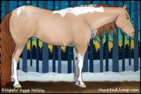 Horse Color:Buckskin Pearl Sabino Tobiano 