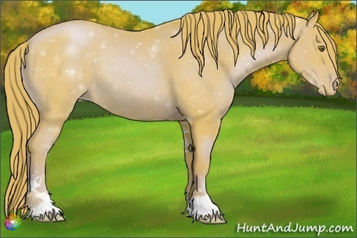 Horse Color:Watercolor Liver Chestnut Pearl Sabino