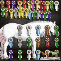 Horse Color:Watercolor Liver Chestnut Pearl Sabino Appaloosa 