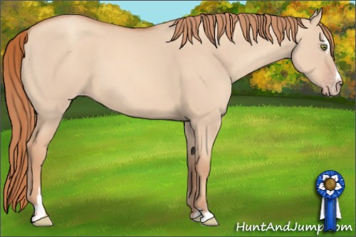 Horse Color:Gold Champagne Dun Sabino 