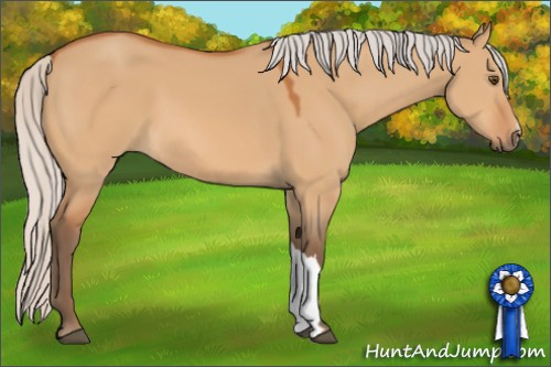 Horse Color:Silver Bay Dun 