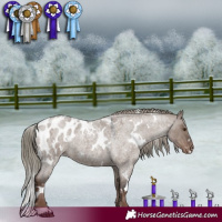 Horse Color:White Spotted Liver Red Dun Roan Mushroom Blanket Rabicano 