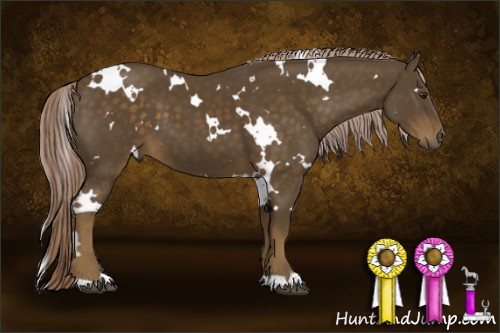 Horse Color:White Spotted Chocolate Palomino 