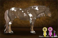 Horse Color:White Spotted Chocolate Palomino