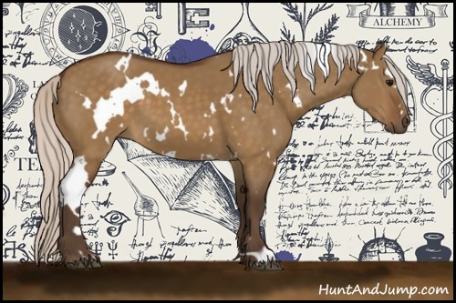 Horse Color:White Spotted Silver Buckskin Dun 