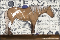 Horse Color:White Spotted Silver Buckskin Dun 