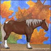 Horse Color:Silver Brown Tobiano 