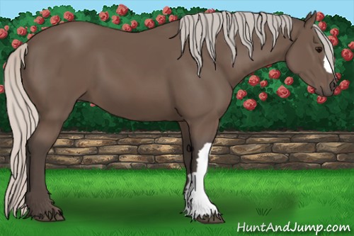 Horse Color:Silver Black 
