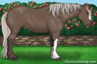 Horse Color:Silver Black 
