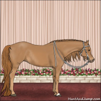Horse Color:Chestnut Rabicano