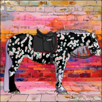 Horse Color:Watercolor Bay Appaloosa 