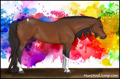 Horse Color:Buckskin Tobiano 