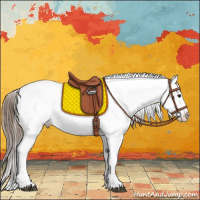 Horse Color:White Spotted Bay Appaloosa
