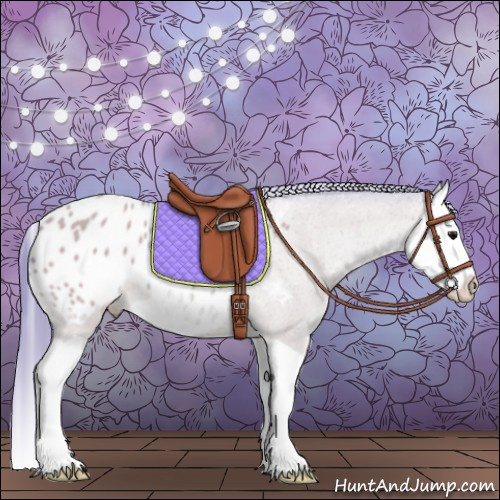 Horse Color:Watercolor Bay Splash Appaloosa 