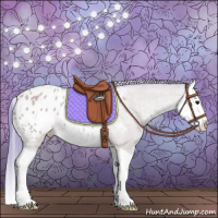 Horse Color:Watercolor Bay Splash Appaloosa 