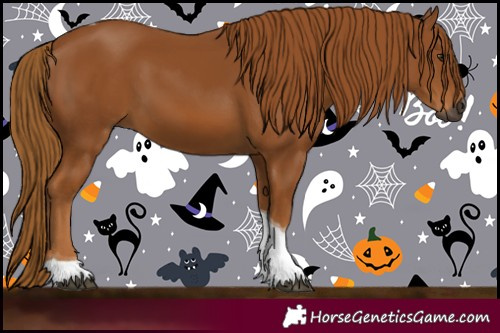 Horse Color:Gray Chestnut Tobiano 