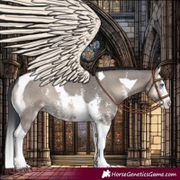 Horse Color:Grullo Onyx Sabino Splash Tobiano 