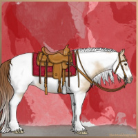 Horse Color:Red Dun Tobiano Frame 