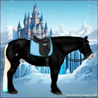 Horse Color:White Spotted Buckskin Sabino Appaloosa 