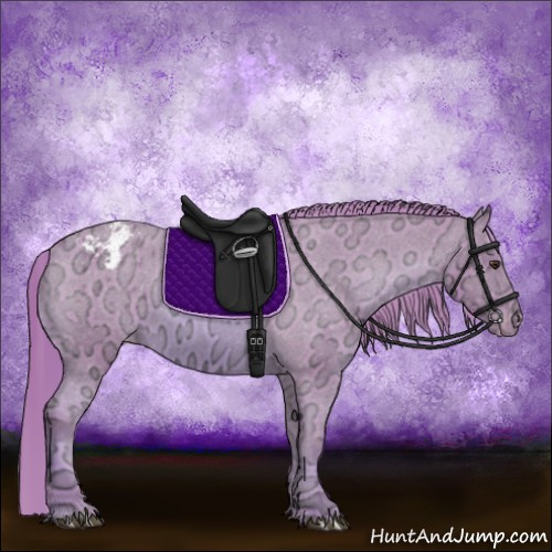 Horse Color:Watercolor Chestnut Ice Appaloosa 