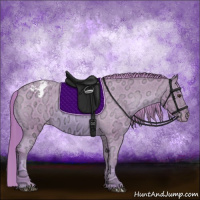 Horse Color:Watercolor Chestnut Ice Appaloosa 