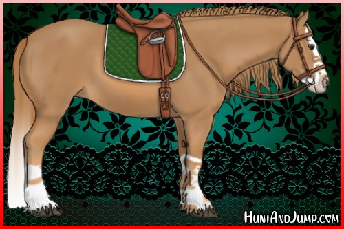 Horse Color:Chestnut Splash 