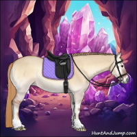 Horse Color:Red Dun Onyx Rabicano 