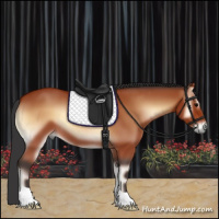 Horse Color:Bay Onyx 