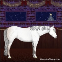 Horse Color:Gray Amber Champagne Sabino 