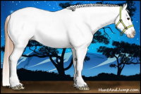 Horse Color:Chestnut Blanket 