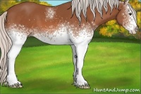 Horse Color:White Spotted Silver Brown