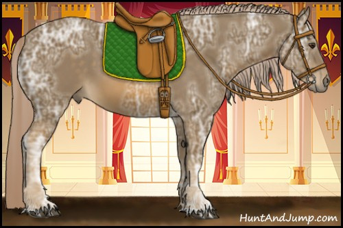 Horse Color:Chocolate Palomino Ice 